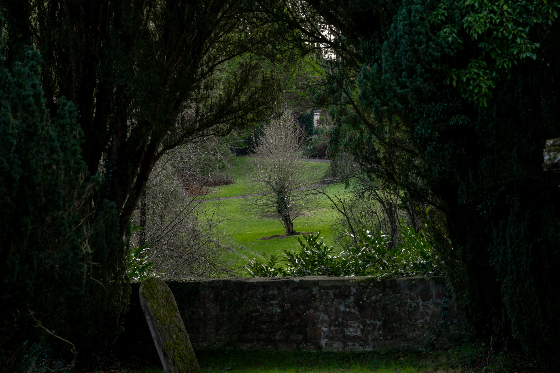 Ireland 02